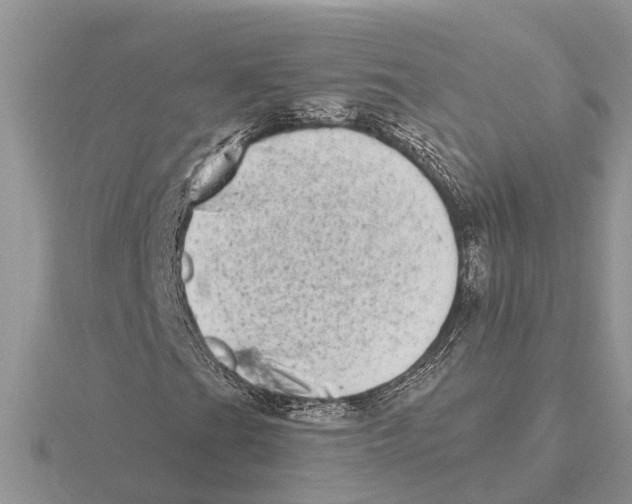 X0000115671201200912101105