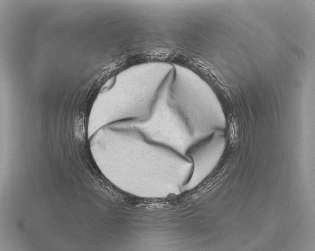 X0000115671204200912101105