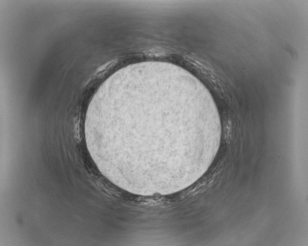 X0000115671205200912101105