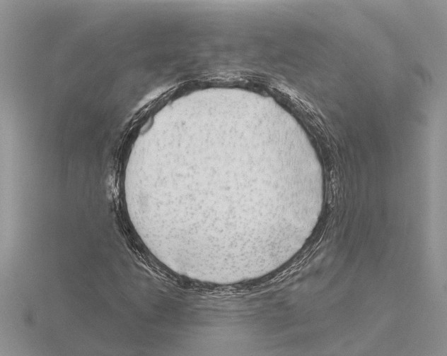 X0000115671206200912101105