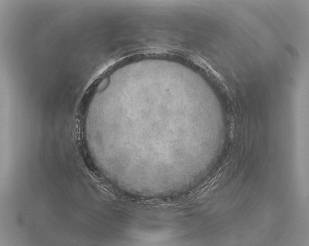 X0000115671208200912101105