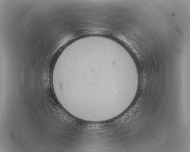 X0000115671211200912101105