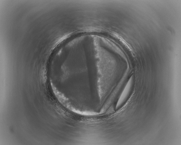 X0000115671213200912101105