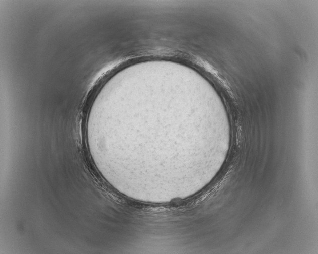 X0000115671214200912101105