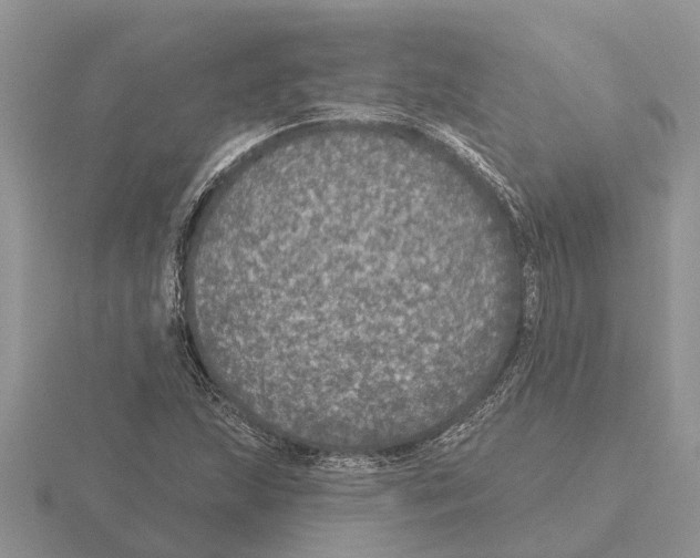 X0000115671215200912101105