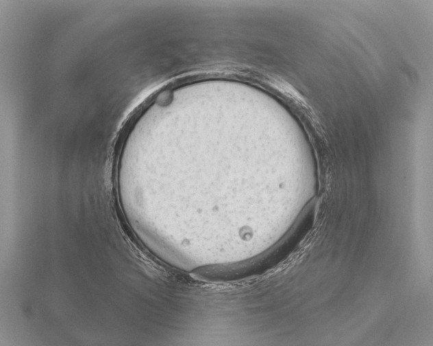 X0000115671216200912101105