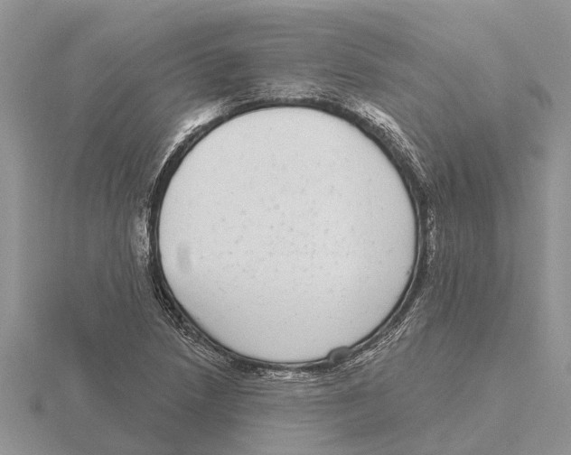 X0000115671218200912101105