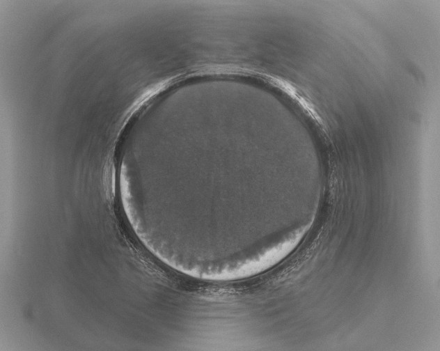 X0000115671221200912101105