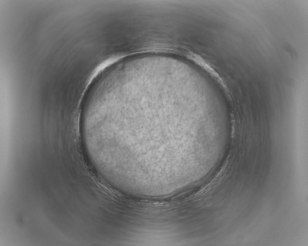 X0000115671222200912101105