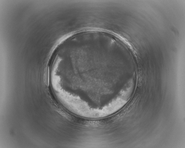 X0000115671223200912101105