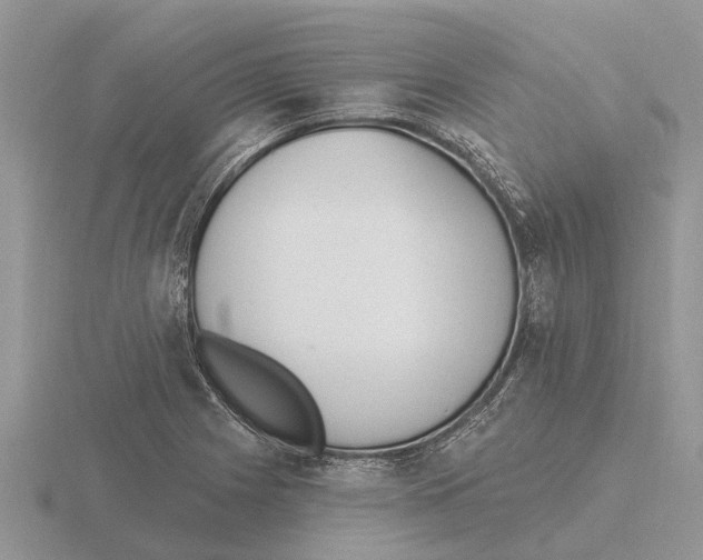 X0000115671225200912101105