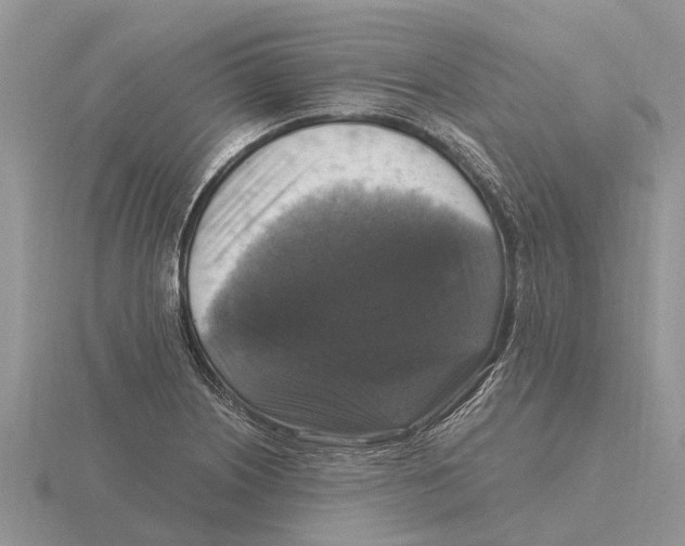 X0000115671226200912101105