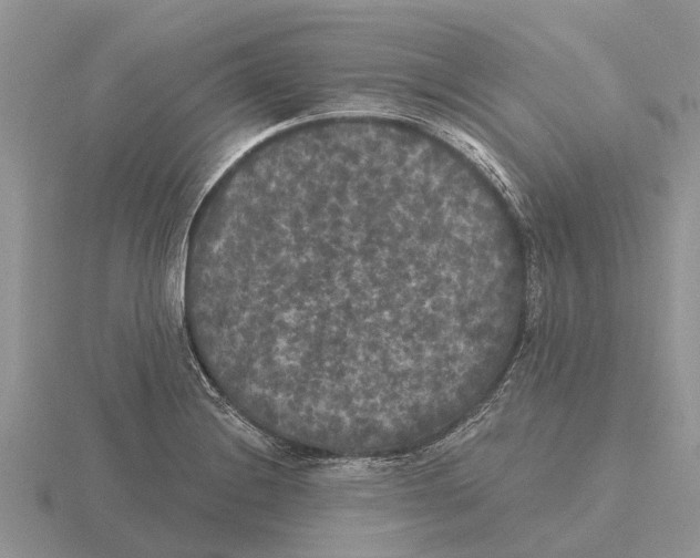 X0000115671228200912101105