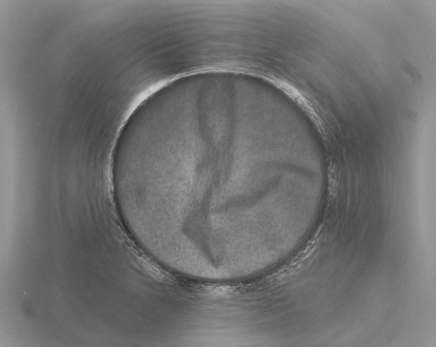 X0000115671230200912101105