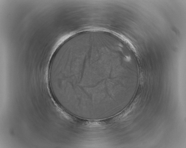 X0000115671231200912101105