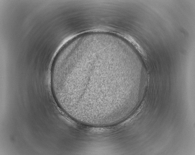 X0000115671232200912101105