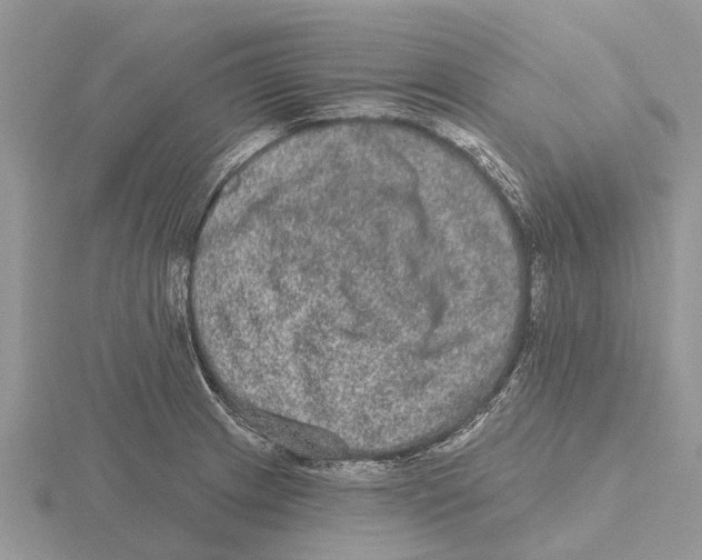 X0000115671233200912101105