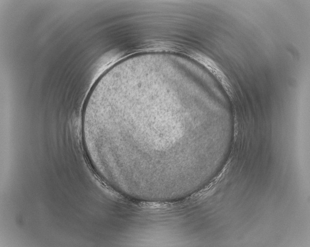 X0000115671234200912101105