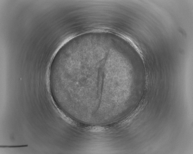 X0000115671235200912101105