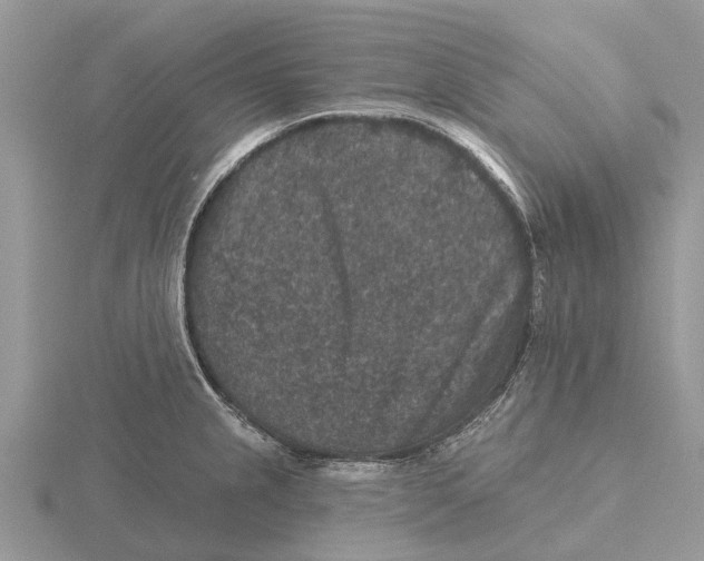 X0000115671237200912101105