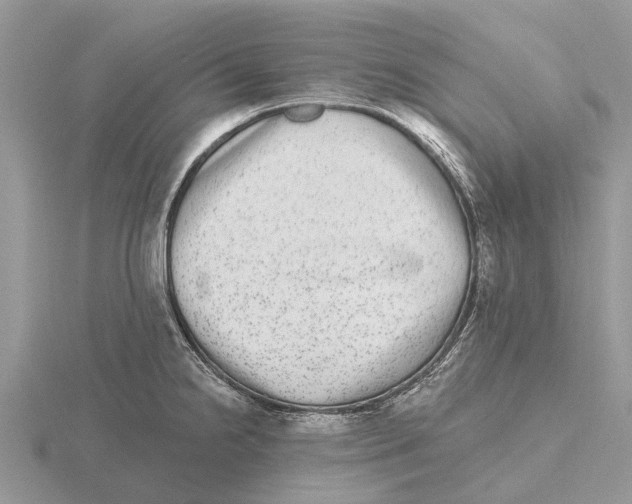 X0000115671238200912101105