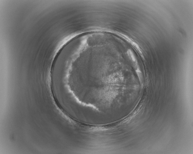 X0000115671239200912101105