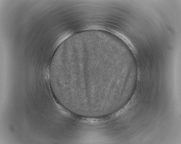 X0000115671241200912101105