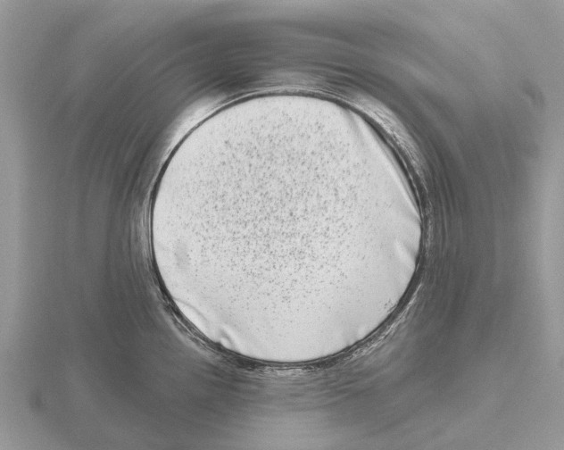 X0000115671242200912101105