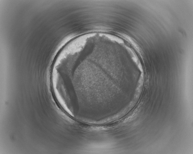 X0000115671243200912101105