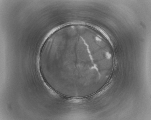 X0000115671245200912101105