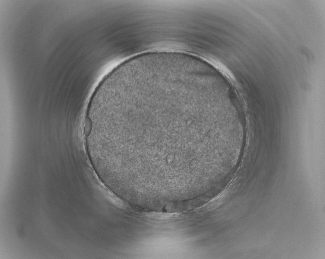 X0000115671248200912101105