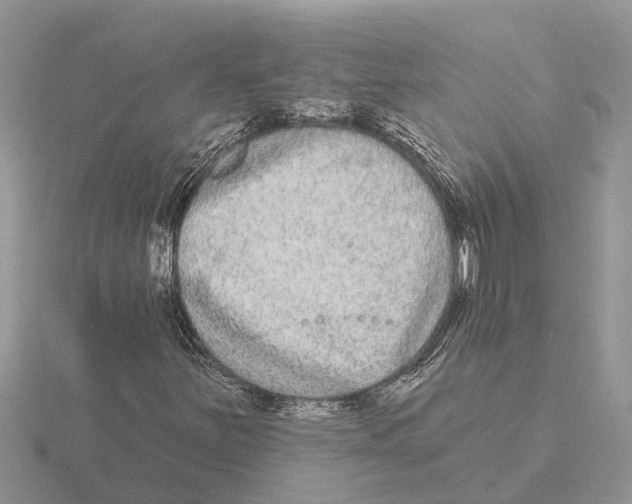 X0000115671251200912101105