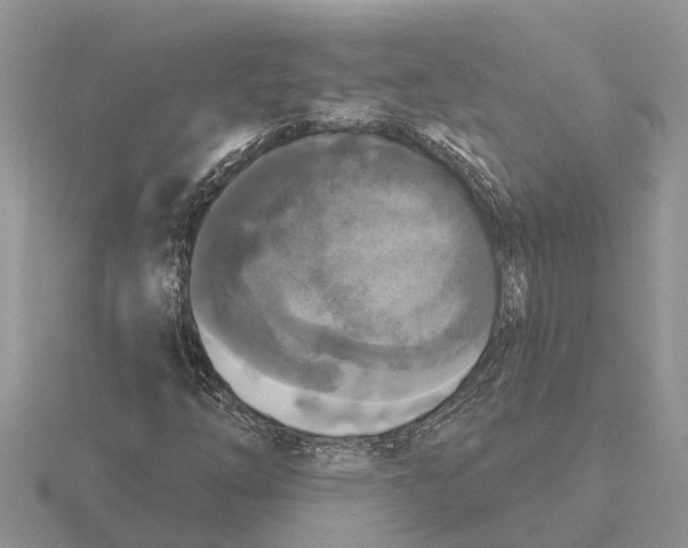 X0000115671254200912101105