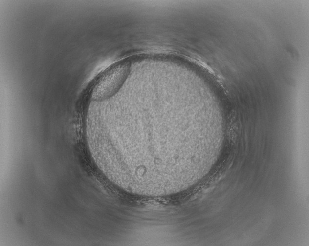 X0000115671255200912101105