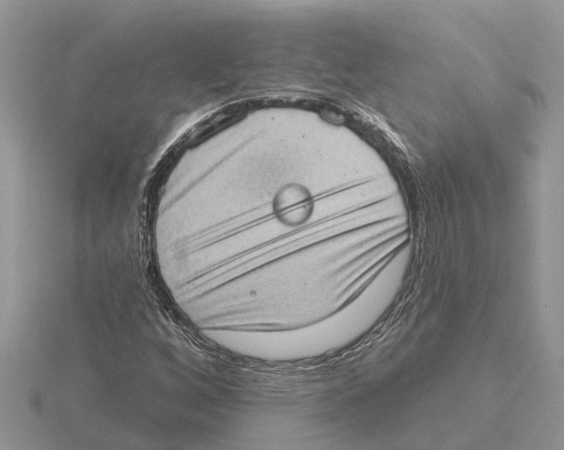 X0000115671256200912101105