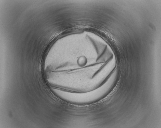 X0000115671257200912101105