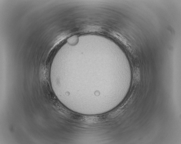 X0000115671258200912101105