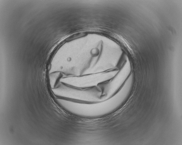 X0000115671260200912101105