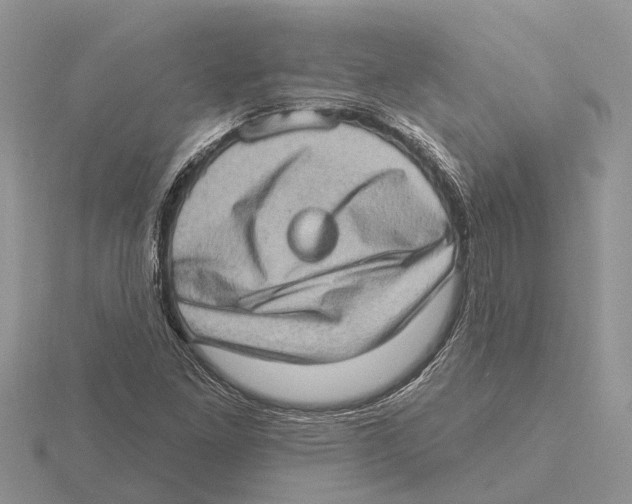 X0000115671261200912101105