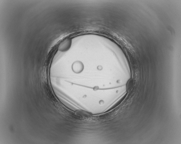 X0000115671262200912101105