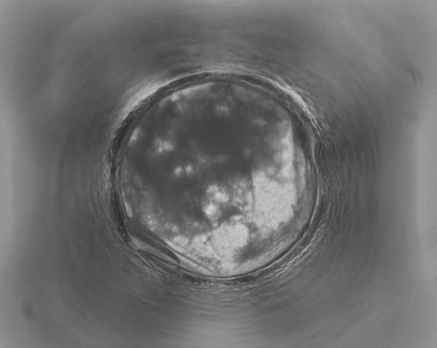 X0000115671263200912101105