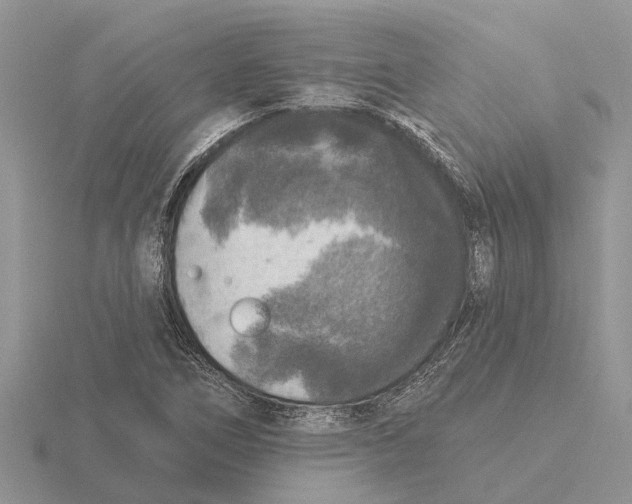 X0000115671266200912101104