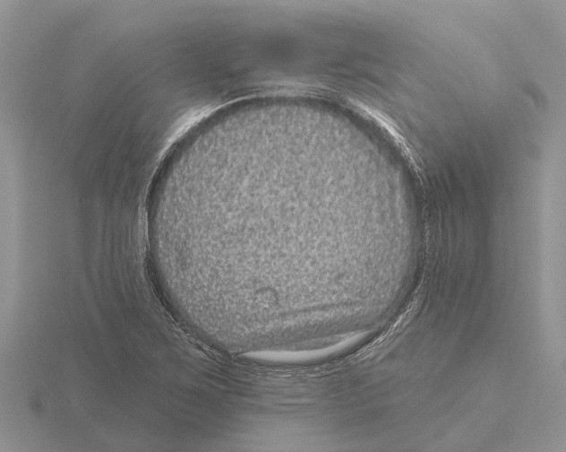 X0000115671267200912101104