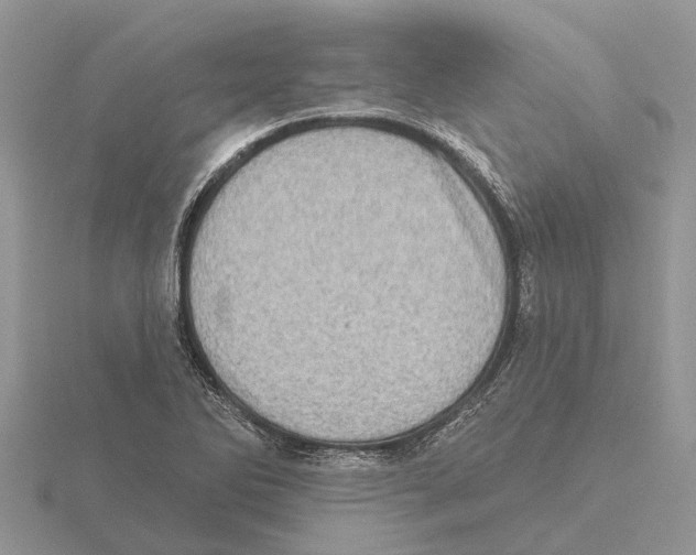 X0000115671270200912101104