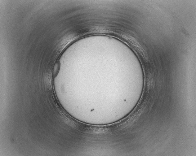 X0000115671273200912101104