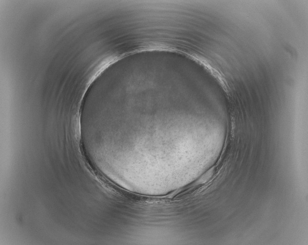 X0000115671274200912101104