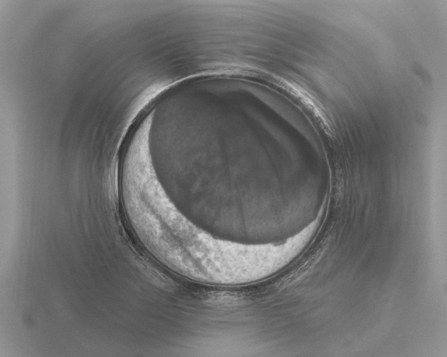 X0000115671275200912101104