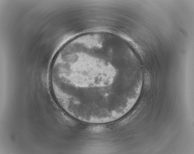 X0000115671278200912101104