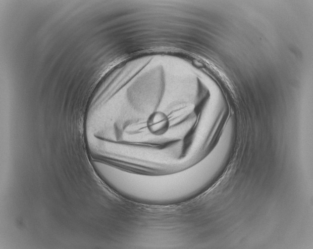 X0000115671281200912101104