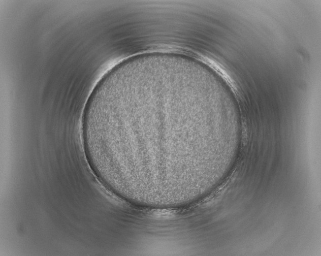 X0000115671283200912101104